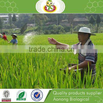 Nitrogen Fertilizer Ammonium Sulphate Granular