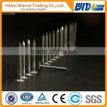 contruction wire nail/common nail for contruction/wire nails in 1kg box