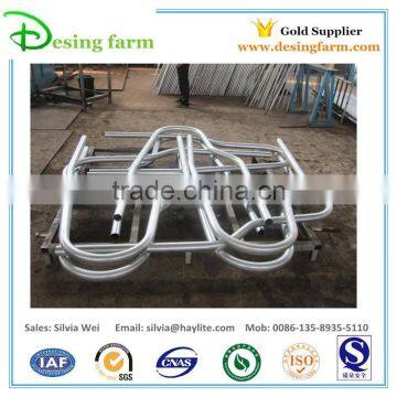 High quality cow free stall for dairy farm