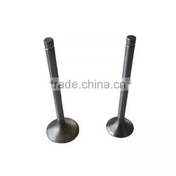 S1110 Exhaust Engine valve inlet and outlet valve