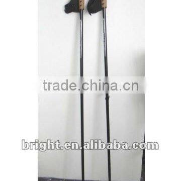 Alpine Ski Pole