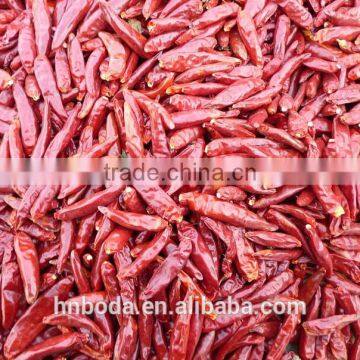 Seasoning Drying Machine photo-3