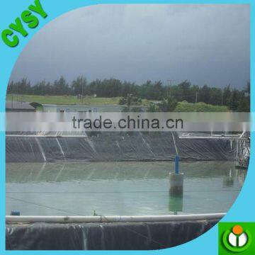 High Quality Membrane Waterproofing, Low Price Pond Liner/fish Pond Liner photo-6