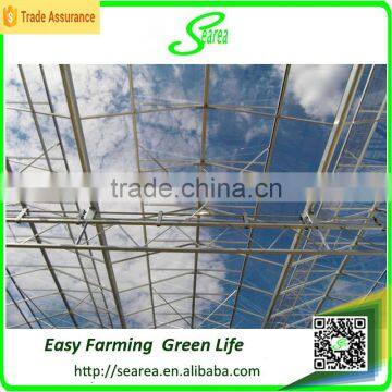 Quickly Delivery Structure Greenhouse for Sale Green House photo-3