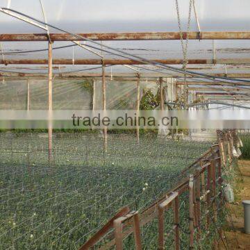 Hot Sell High Strength, Large Size With Anti-UV, Anti Fog, Anti Drip Agricultural Greenhouse Cover photo-4