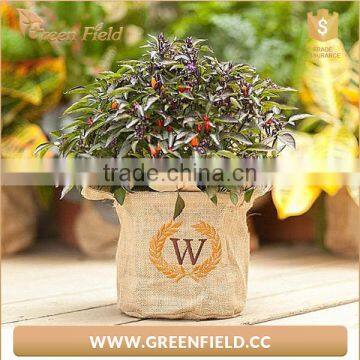 Hydroponic Plant Jute Fabric Eco-friendly Grow Bags photo-2