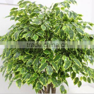 200cm Artificial Bonsai Ficus Tree,fake Banyan Bonsai Tree for Sale photo-6