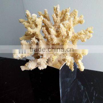 Polyresin Coral Decoration photo-6