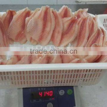 Frozen Tilapia Fillet (Oreochromis Niloticus) photo-2