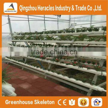 Heracles Commercial Idustrial Hydroponic Systems For PC Greenhouse /Vegetable Greenhouse photo-5