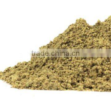 TRIBULUS TERRISTRIS photo-2