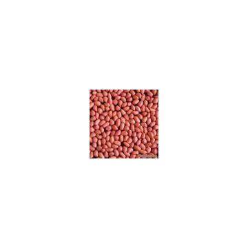 Sell Red Skin Peanuts