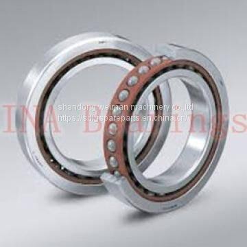 INA Bearings