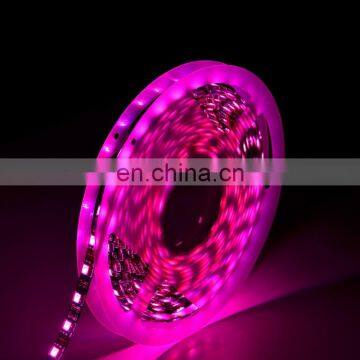 RGB led tape strip IP68 5 meters magic color digital programmable