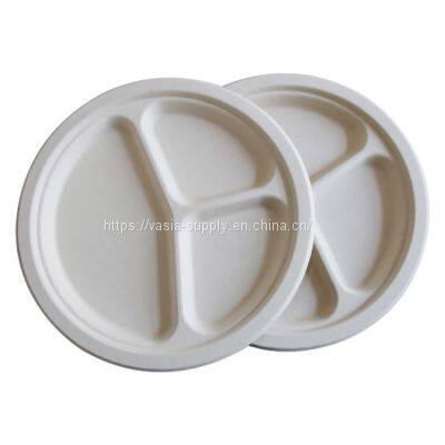 Bagasse disposable tableware biodegradable sugarcane White Plates oem manufacturers