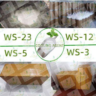 Ws-23 Liquid Food Additive/ Cooling Agent WS-23 photo-4