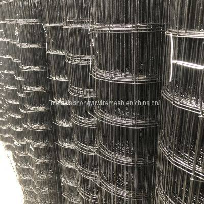 Black Welded Wire Mesh Welded Wire Mesh Chicken Wire Netting Wire Netting Poultry Fence Poultry Mesh Welded Wire Black Wire Black Welded Weld Wire photo-5