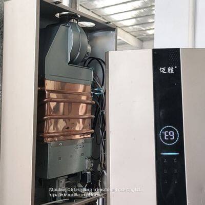 20kw 24kw 28kw 30kw 32kw Wall Hung Heating Wall Mounted Gas Boilers Lpg Tankless Propane Gas Water Heater