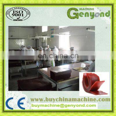 Shanghai Complete Fruit Leather Processing Machines