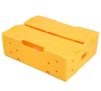 Stackable Corrugated Plastic Fruit Containers – Eco-Friendly & Reusable photo-2