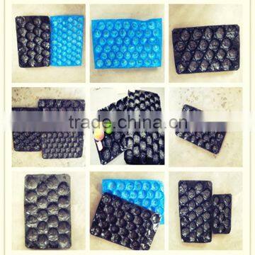 disposable tray fruit tray blister packaging for fruit