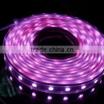 Bulk sale 3528 glue sealed led strip lighting