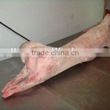 Frozen lamb/goat/mutton carcass