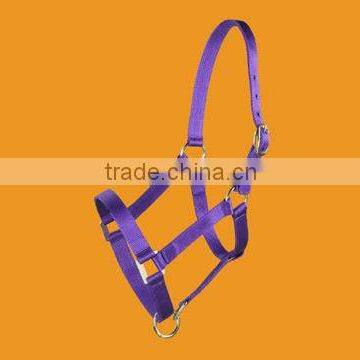 PP Horse Halter With Superior Quality