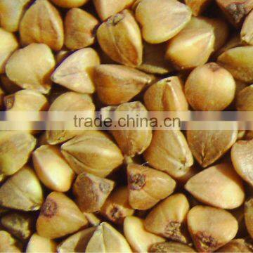 Roasted Buckwheat Kernels