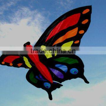 beautiful butterfly kite