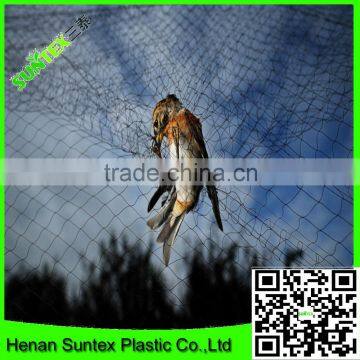 Agricultural netting anti bird net with 2 inch holes/extruded garden anti bird net/fruit cover bird screen mesh