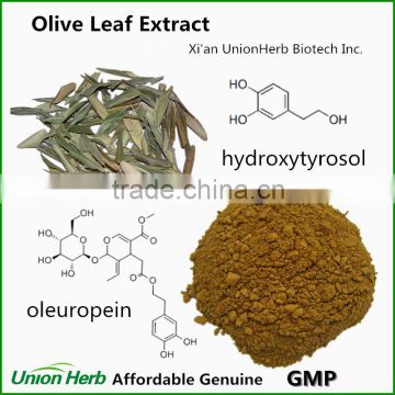 Water Soluble Olive Leaf Extract with Oleuropein 10%~60% and Olive Leaf Hydroxytyrosol