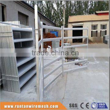 Australia hot dipped galvanized heavy duty bull panel In Farm (Factory Trade Assurance)