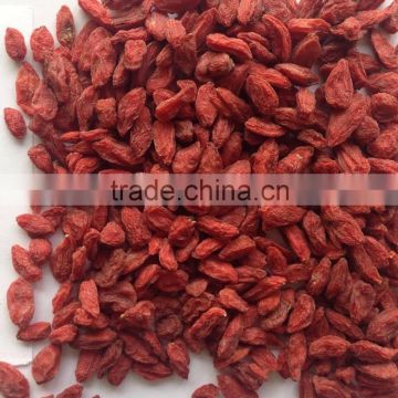 Where Can You Buy Goji Berries