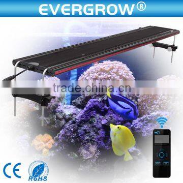 Evergrow new model 48inch Intelligent Sunrise Sunset Led programmable led aquarium lighting