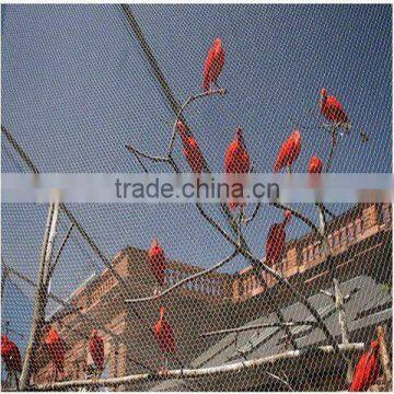 zoo mesh/aviary mesh/stainless steel bird netting