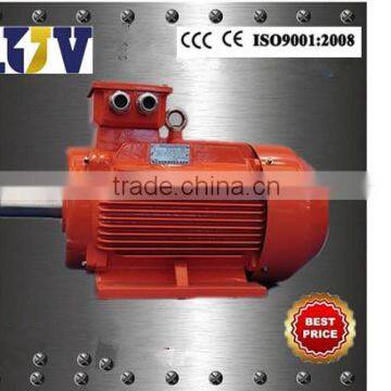 Ye3 High-efficiency Induction Motor