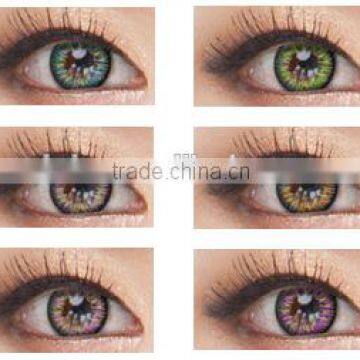 2014 good quality popular Giyomi C04-01 violet Korea cosmetic cirlcle cheap wholesale color contacts yearly 6 colors