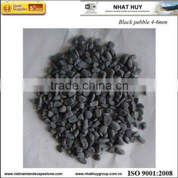 Tumbled black pebble