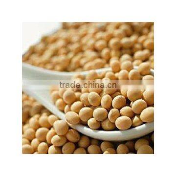 Genistin Standard Herbal Extract Soybean Isoflavones 20%, 40% HPLC