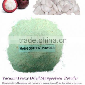 High Quality Vacuum Freeze Dried Mangosteen (pulp only) powder from Thailand