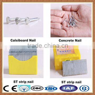 Common Roofing Steel Nail photo-4