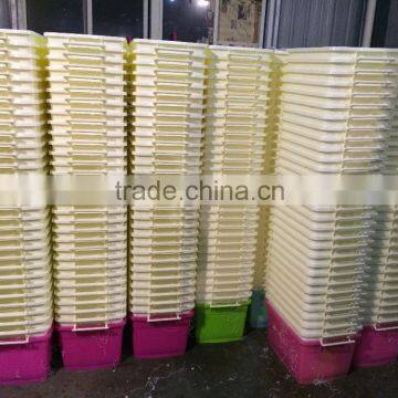 PLASTIC CRATE MOULD