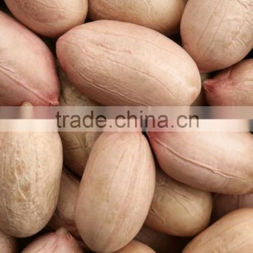 java peanuts exporters