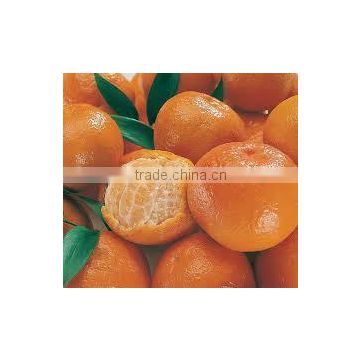 HONEYMANDARIN