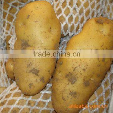 2014 New Fresh Potato, Chinese Potato Price