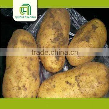 2015 new chinese potato with great price