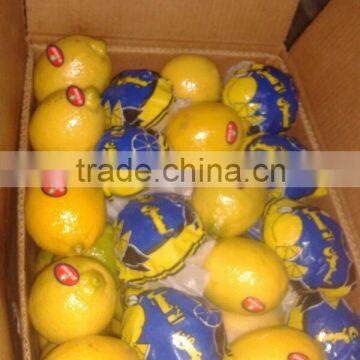 FRESH LEMON ( Adalia - Verna - Green Lime )