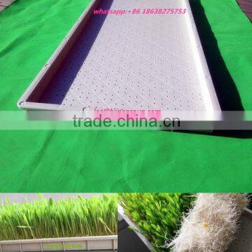 Plastic propagator trays, sprouting trays