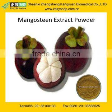 GMP Manufacturer supply natural Mangosteen fruit extract 10%-30% Mangostin,